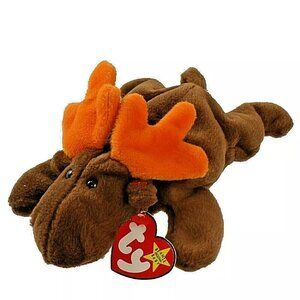 Ty Beanie Baby - Chocolate the Moose